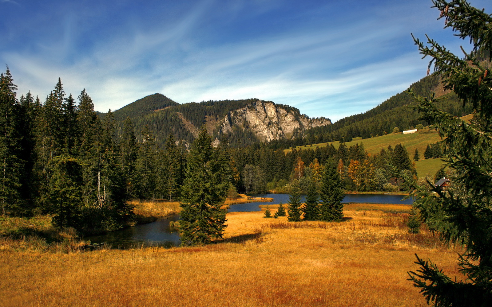 《王者荣耀季中冠军赛,战场硝烟四起》,王者荣耀夏季赛冠军杯